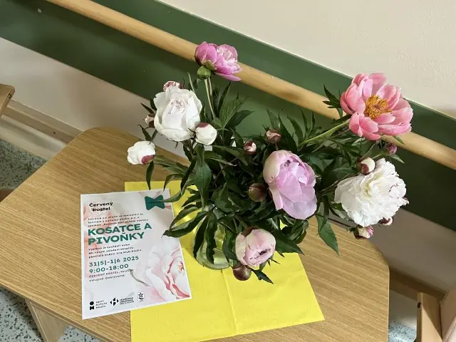 Z výstavy kosatců a pivoněk